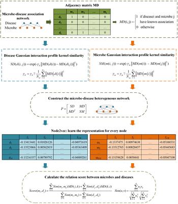 Predicting Microbe-Disease Association by Learning Graph Representations and Rule-Based Inference on the Heterogeneous Network